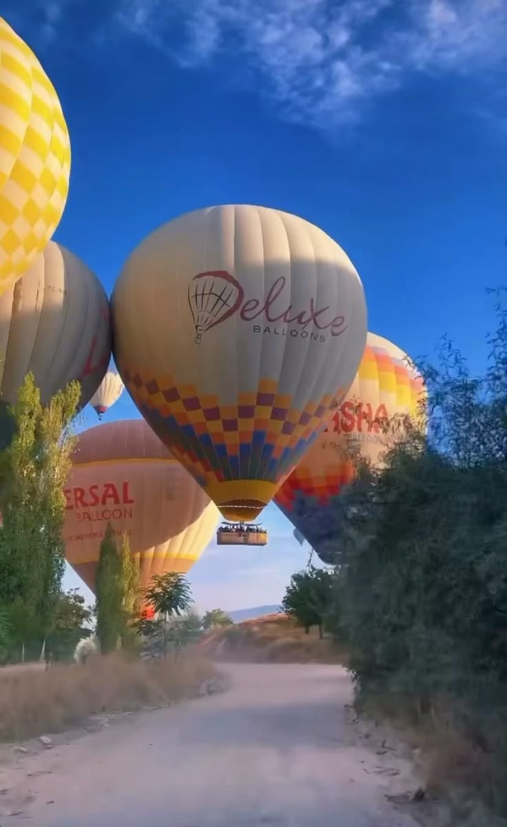 görüntü 25.12.2025 13.37