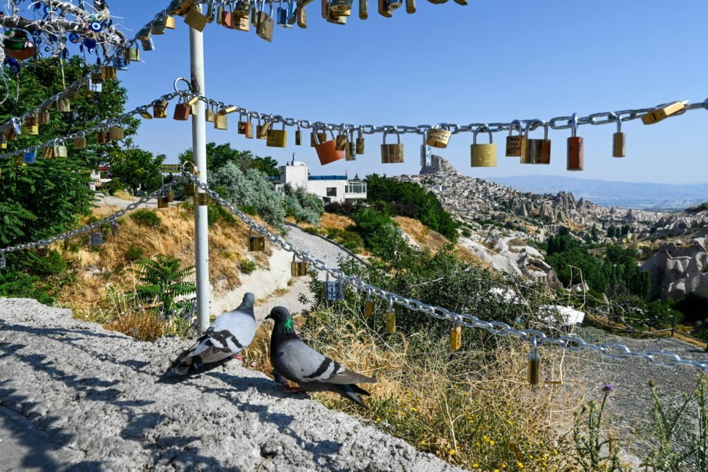 🟢 GREEN TOUR – SOUTH CAPPADOCIA Pigeons on a wall with love locks and stunning view of Cappadocia, Turkey.